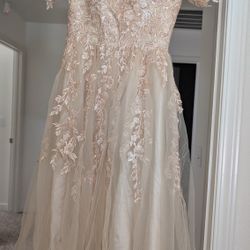 Champagne Colored Elegant Dress 