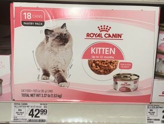 Royal canin cat food