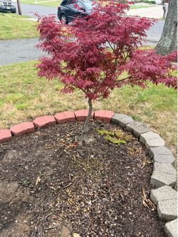 Retaining wall blocks