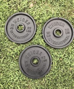 2-22lbs Olympic style weights