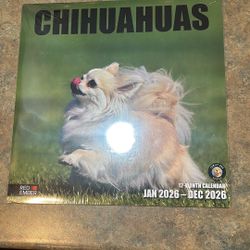 2026 Chihuahua Wall Calendar | 12" x 24" Open | Cute Dogs Calendar Photography Thick Paper for Organizing & Planning