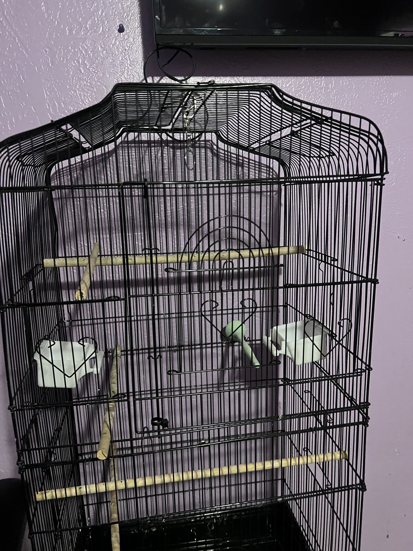 Bird  Cage 
