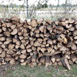 Firewood