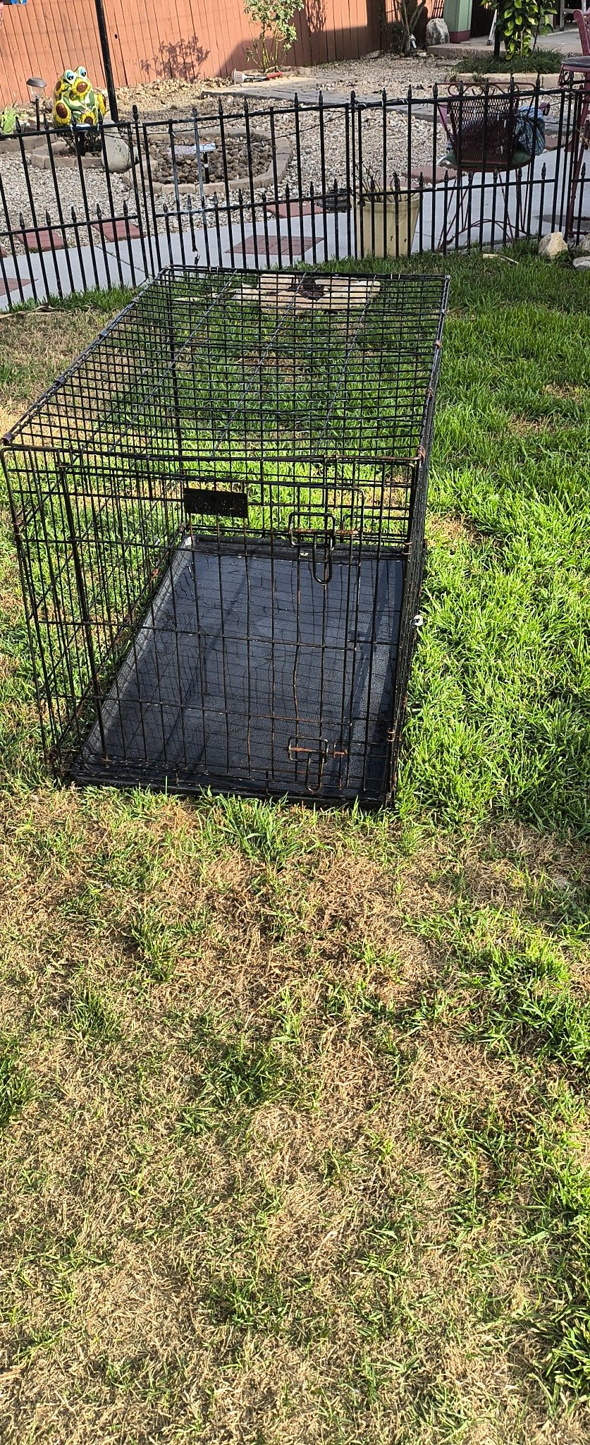 Dog Cage