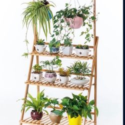 Bamboo Plant Holder 