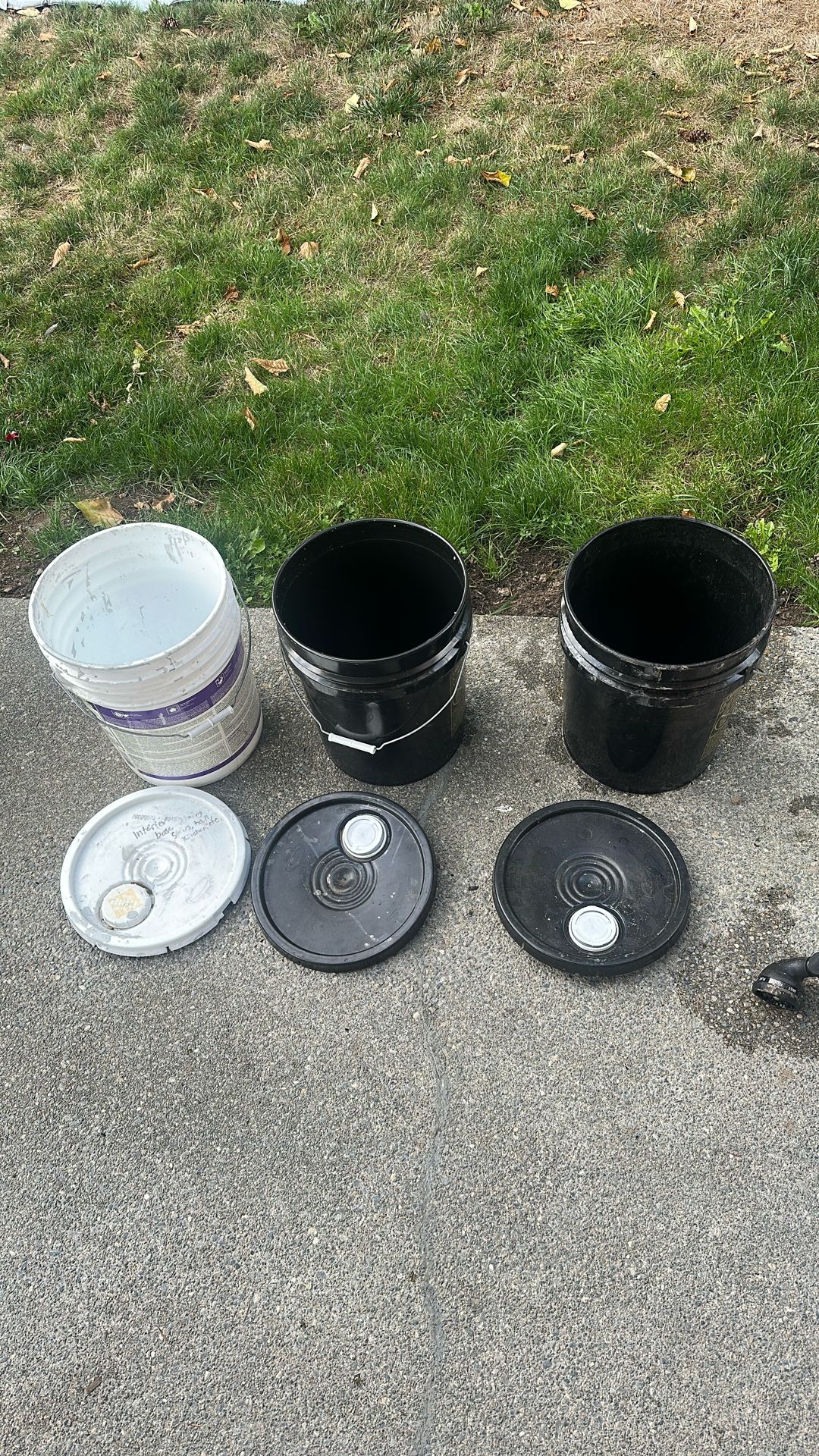Three 5- Gallon Buckets FREE