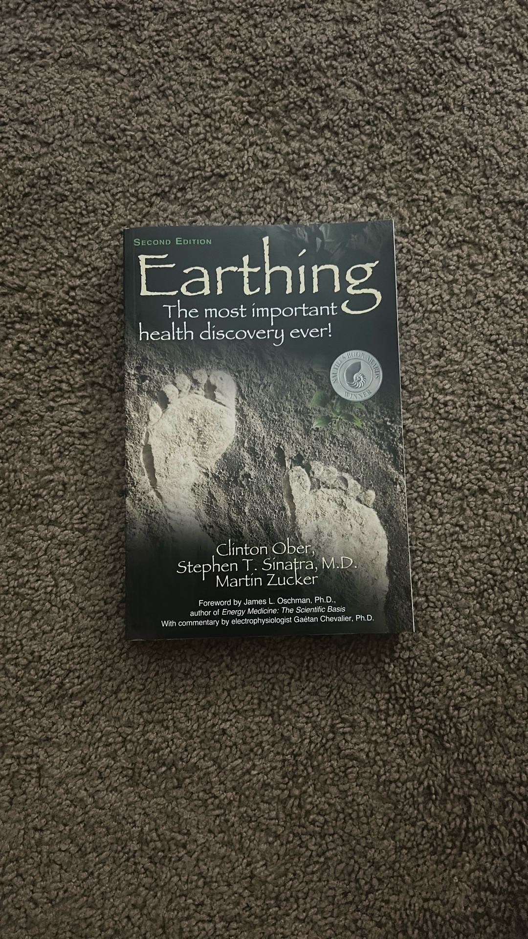 Earthing Book