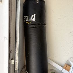 Everlast Heavyweight Punching Bag 100LB