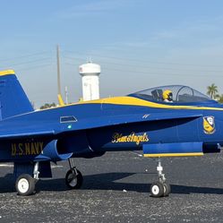 Freewing 90mm F18 Blue Angel