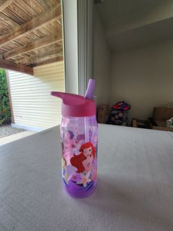 Disney Princess Plastic Water Bottle with Straw