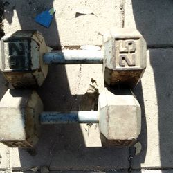 25 Pounds Dumbbells