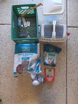 Guinea pig items and accessories