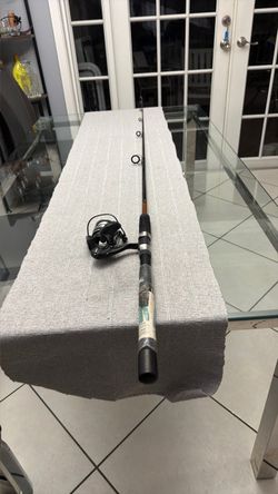 Rod and reel