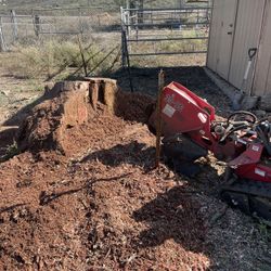 Stump Removal