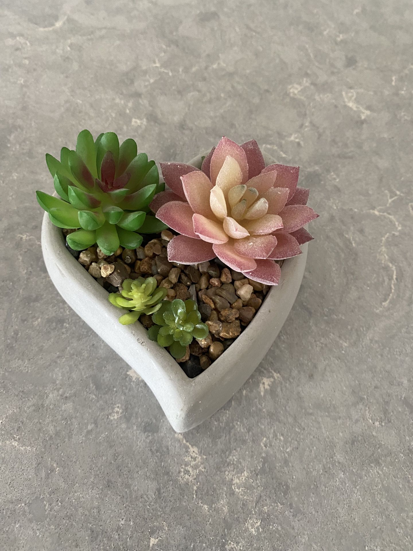 Small Heart Shape Artificial Succulent