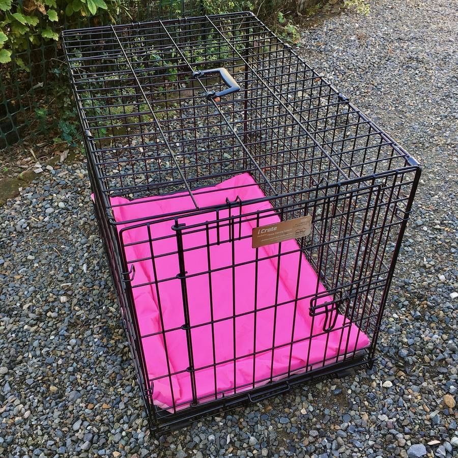 iCrate 30" Medium Wire Metal Dog Kennel Crate Carrier with Pink Pad