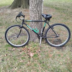 Trek Mountain Bike