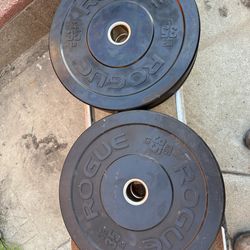 Rogue bumper plates 35 lbs