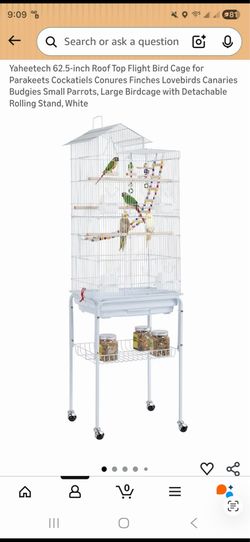 Bird Cage and accessories