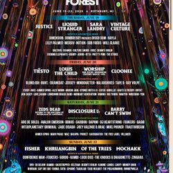 Electric Forest 2025 