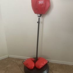 Boxing Punching Bag With Gloves. Great Shape! For Kids! 