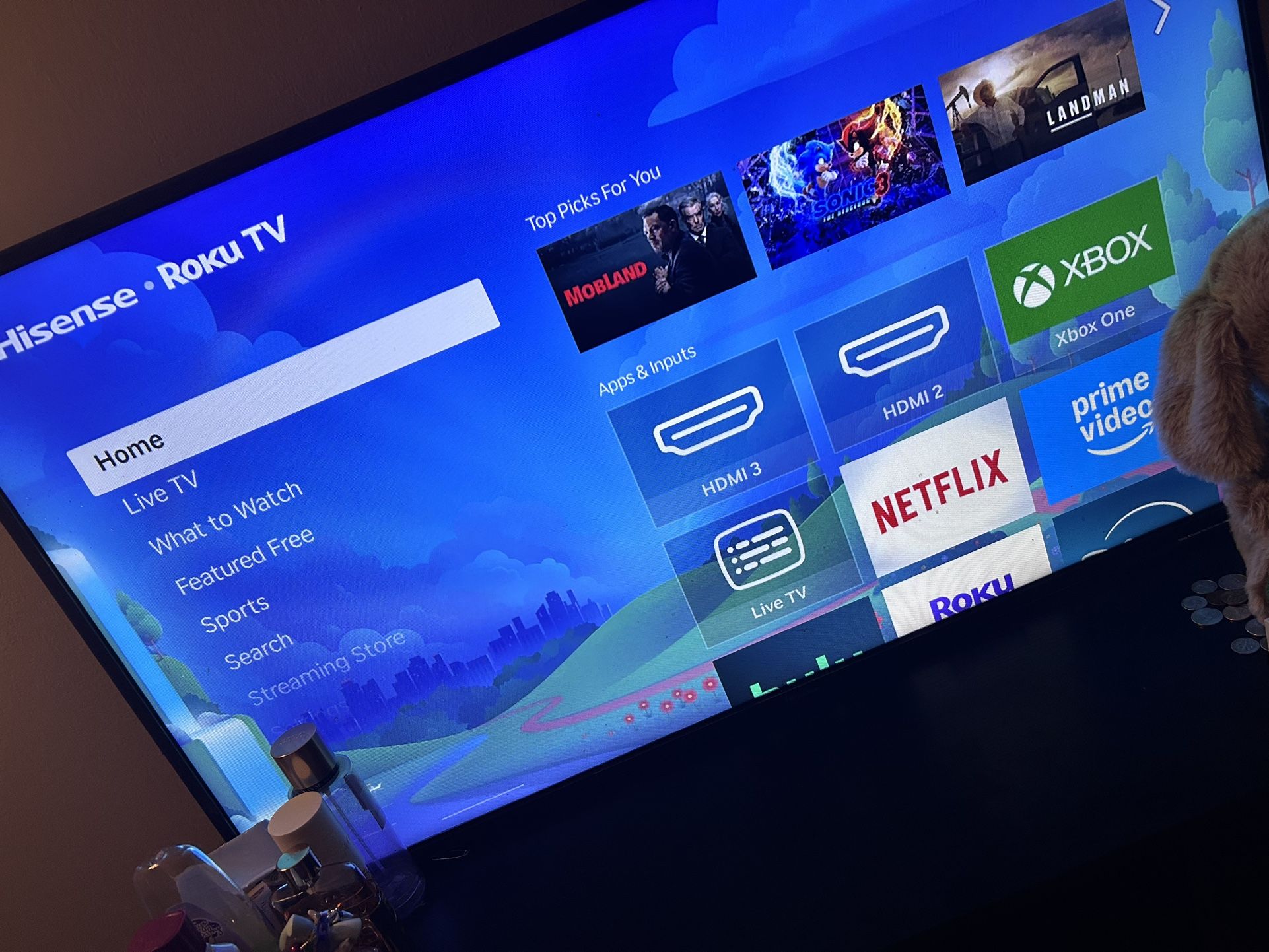 42 in Roku Smart TV