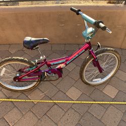 Kids Bike Pink Turquoise Trek Mountain Lion