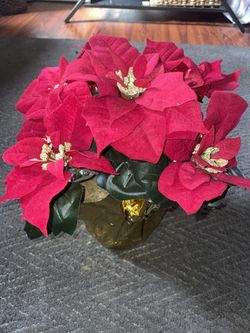 Christmas Flower