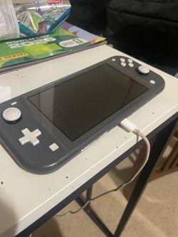 Nintendo lite