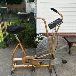 Classic Schwinn Airdyne Standing Bike