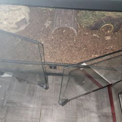 Reptile Encolsure
