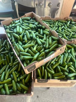 Percia cucumber 🥒 new $20 Box only today