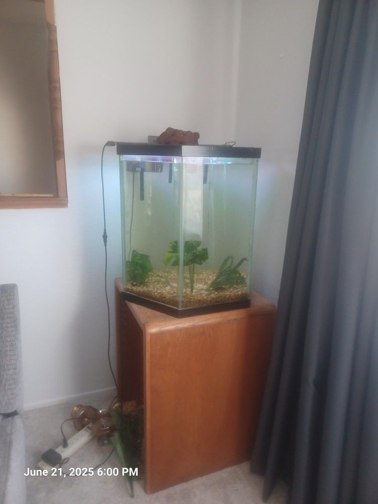 Fish Tanks
