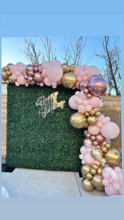 Green Wall And Balloon Gardland