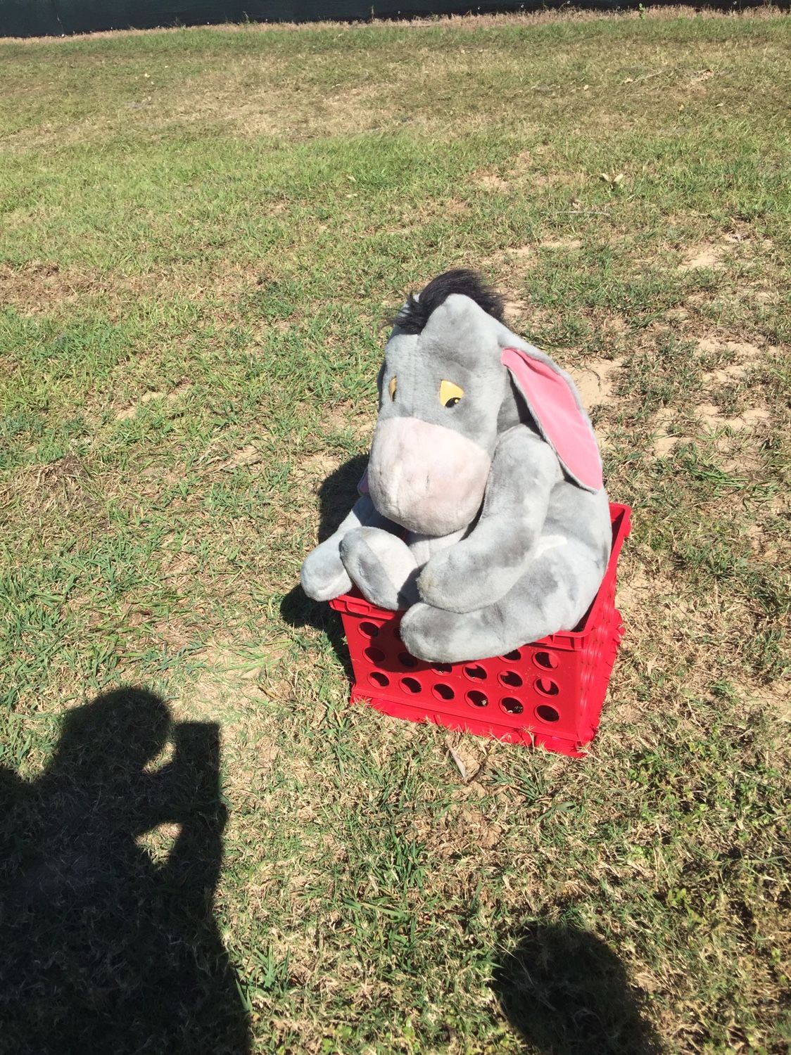 The Large Eeyore 