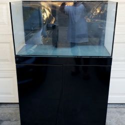 Jbj 55 Gallon Fish Tank/aquarium