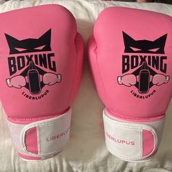 Little Girl Boxing Gloves Like NEW $20