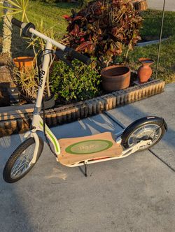 Razor Ecosmart Sup Scooter