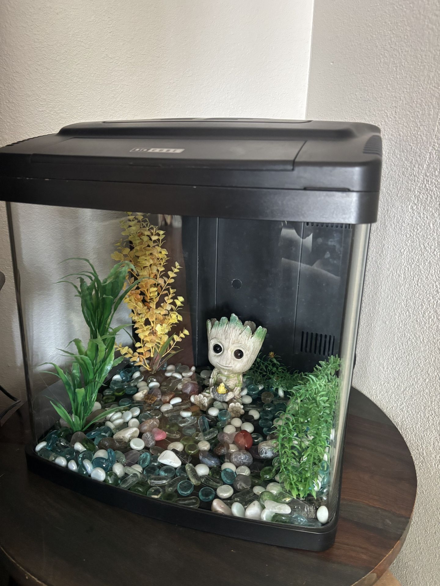 Biocube Fish Tank