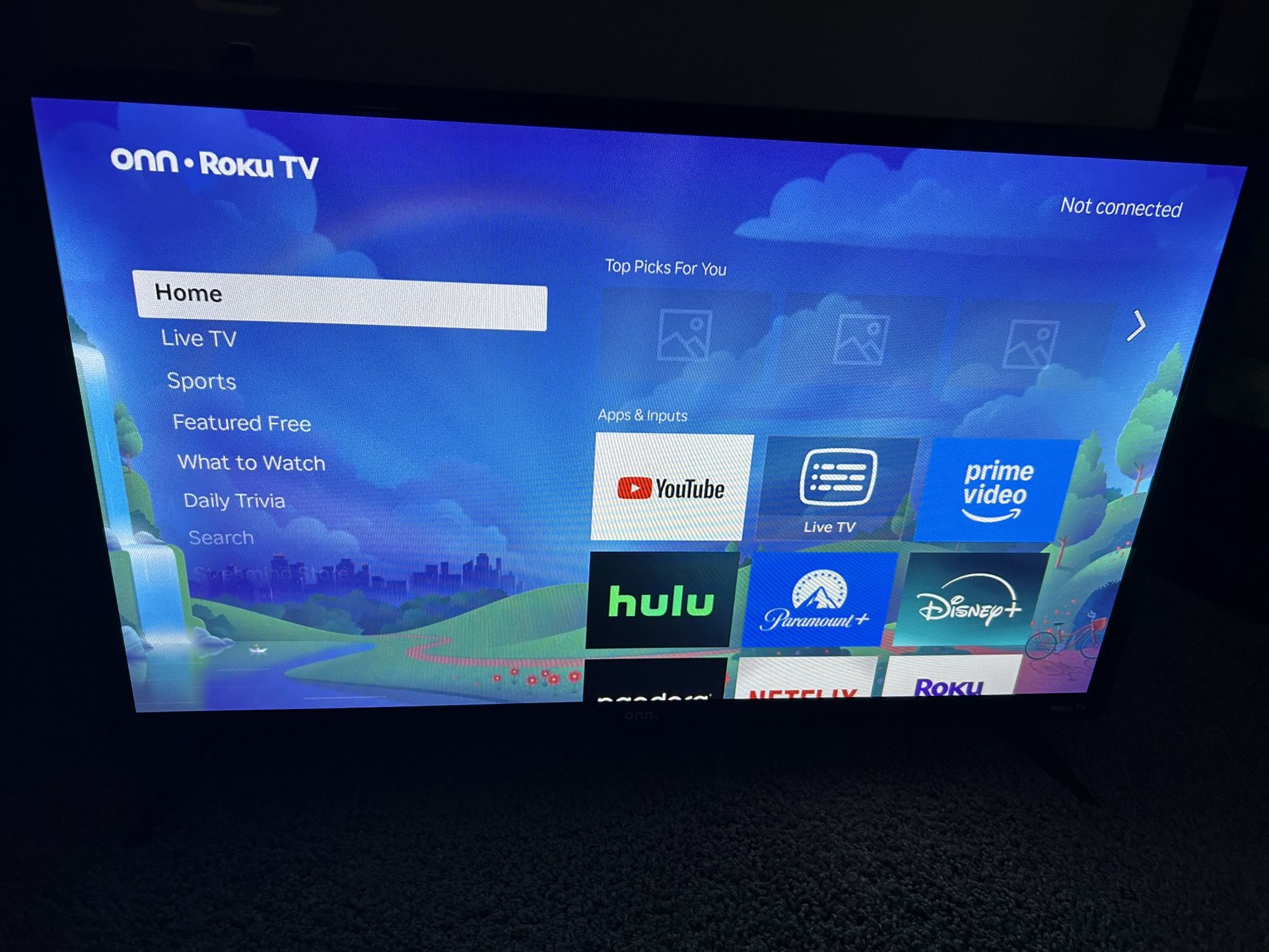 32 inch Roku TV