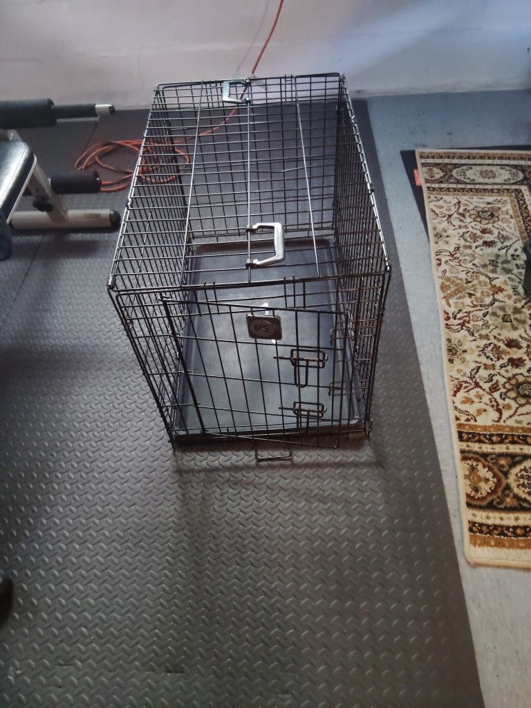 Dogs Cage