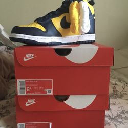 Nike Dunk High Michigan
