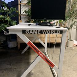 Computer Desk and Computer Monitor For $80