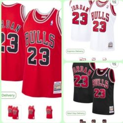 #23 MICHAEL JORDAN RETRO CHICAGO BULLS $50. CASH PLEASE!!