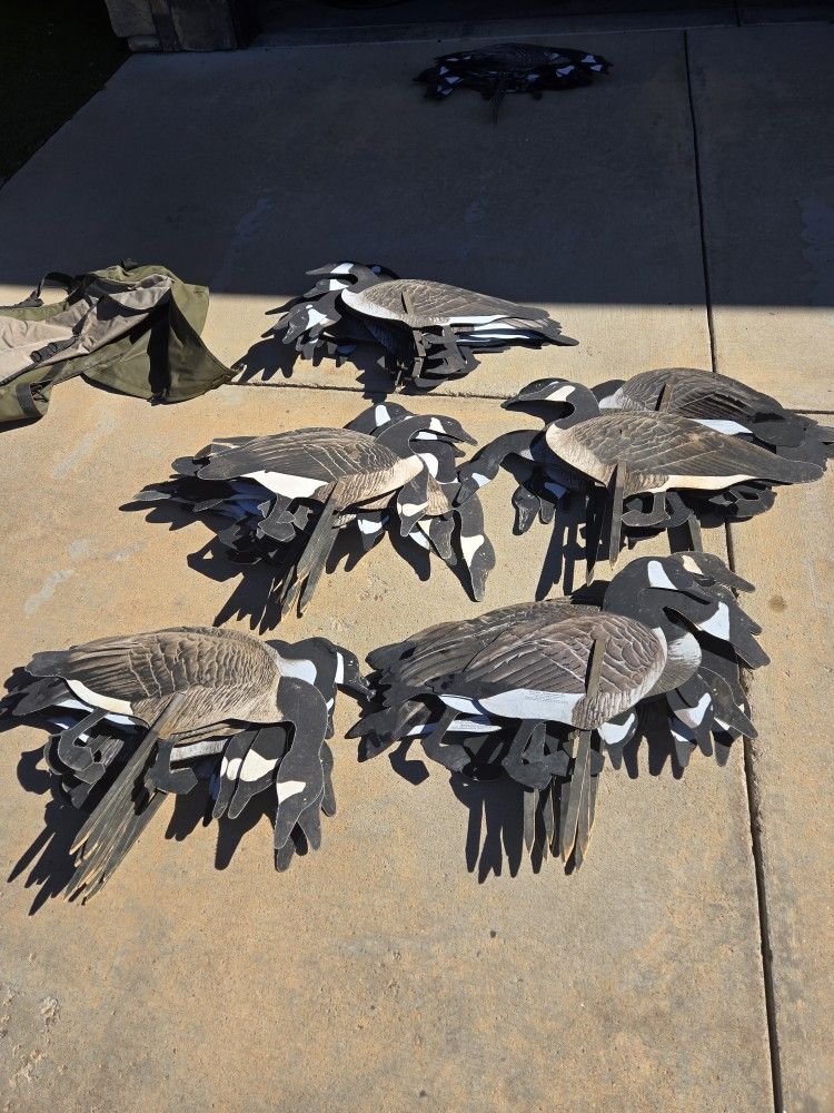 Real Geese Pro Series 3D Silhouette Goose Decoys