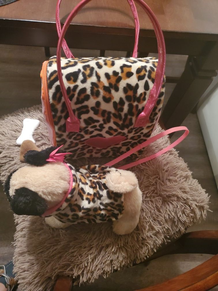 Pucci pups