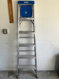 Werner 6-Ft Heavy Duty Ladder