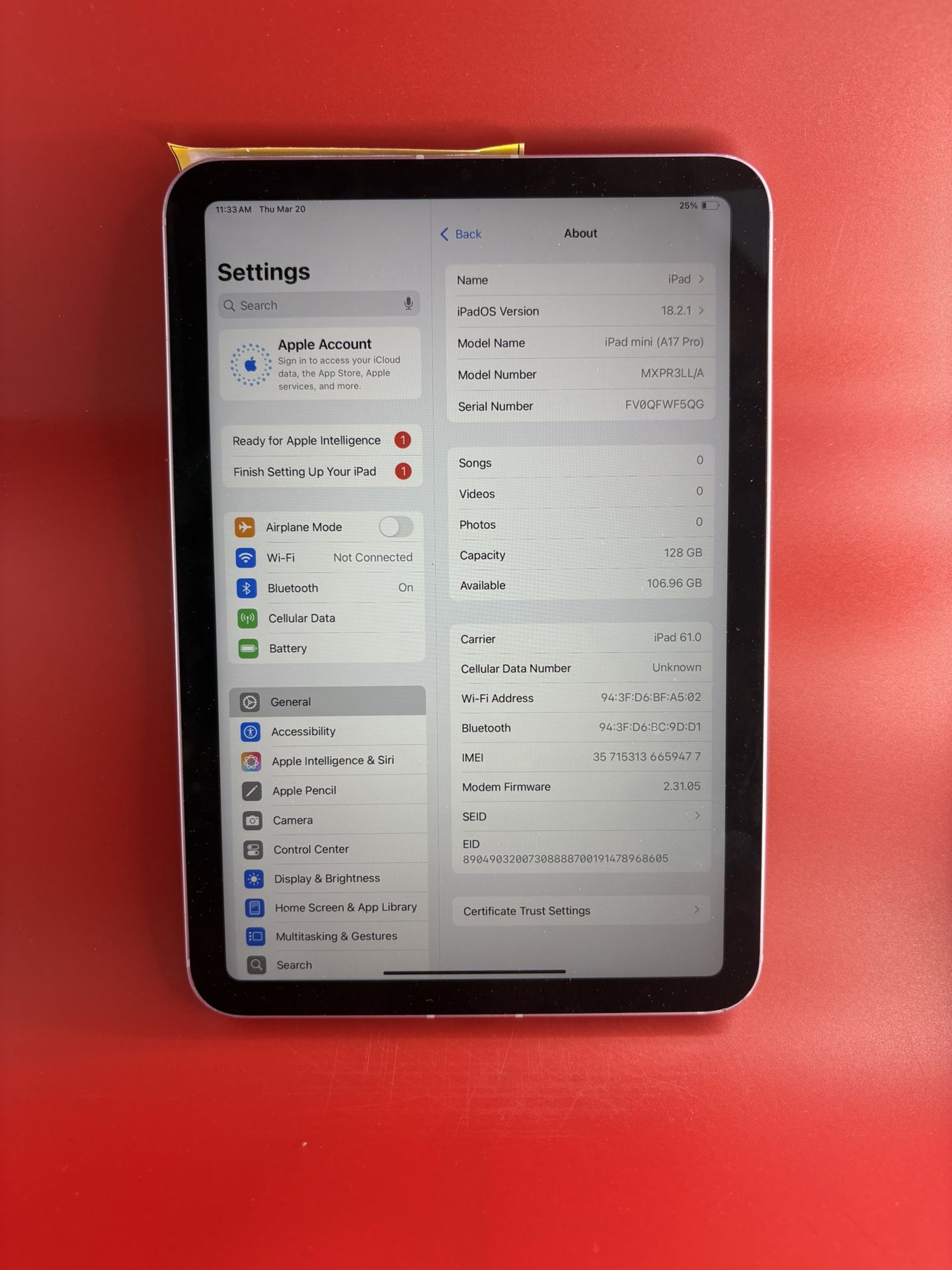 iPad Mini