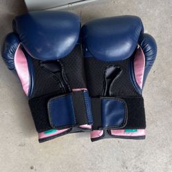 Boxing Gloves Everlast Elite 