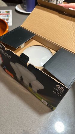 65 Watt light bulbs